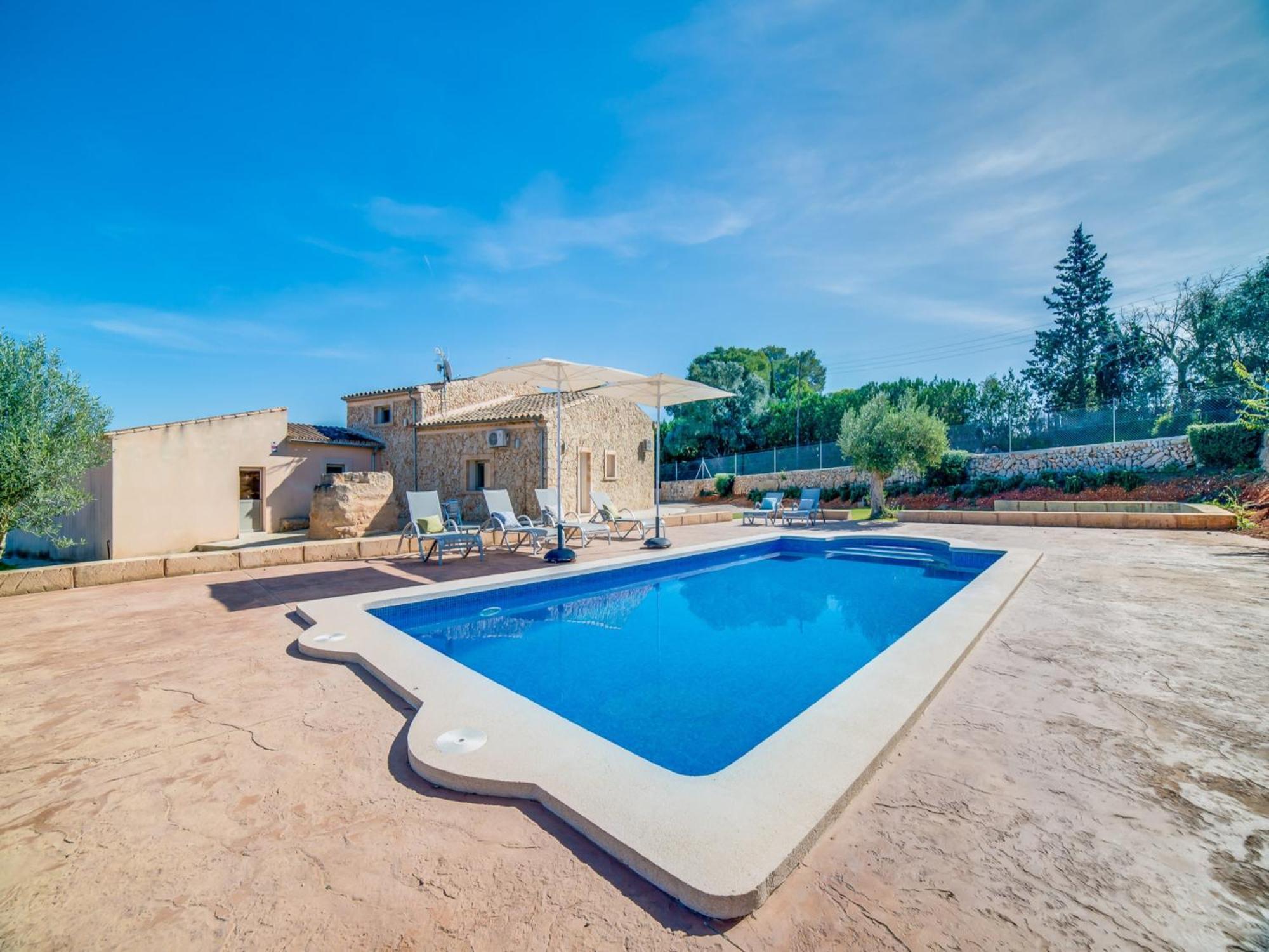 6 Guest In Sencelles